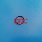 Tomos,Tomos dijelovi , tomos moped, tomos Rijeka,Tomos dijelovi, tomos Rijeka, tomos APN,tomos apn eco,tomos automatik,tomos ctx,tomos elektronik,tomos bt, tomos e90.tomos t15, tomos t14, tomos sprint, tomos atx, tomos sprint , tomos colibri, tomos targa,tomos revival, tomos streetmate, tomos racing, tomos vanbrodski motor, tomos ff61,tomos ff65, tomos pila, tomos husqvarna, tomos 650,tomos 10, tomos 18,tomos 4, tomos 4,5 , tomos 4,8, tomos tx4, tomos tx4r, tomos 3 , tomos 3,5,TOMOS kopačica, tomos mk2, tomos umo, tomos umo 06, tomos umo 08, tomos pumpa, tomos smp2, tomos reduktor, tomos,Tomos Rijeka AG MOTO 051-584-123 (8-16),tomos10 impeler, tomos 10 pumpa vode, tomos 18 impeler, tomos18 pumpa vode, tomos18 zupčanik, tomos bendiks, tomos auspuh , tomos katalog, tomos prospekt, tomos riders, tomos nadomesni deli, tomos deli ,tomos rezervni deli spletna trgovina,tomos frčo ,autousluga tomos, auto usluga tomos, autousluga rijeka, autousluga Viškovo. tomos zagreb, tomos kopar, tomos koper, frčo moto, tomos motos, tomos onovi si, jurec hr, jurec eu, bogata ponudbo rezervnih delov za tomos,prodaja novih rezervnih delov tomos,tomos dvokolesa, tomos dvotočkaš, prodam tomos deli.. tomod dellorto, tomos 6v,tomos far kockasti, #tomos,